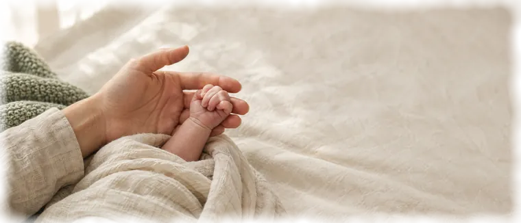 A hand resting on a pregnant belly.